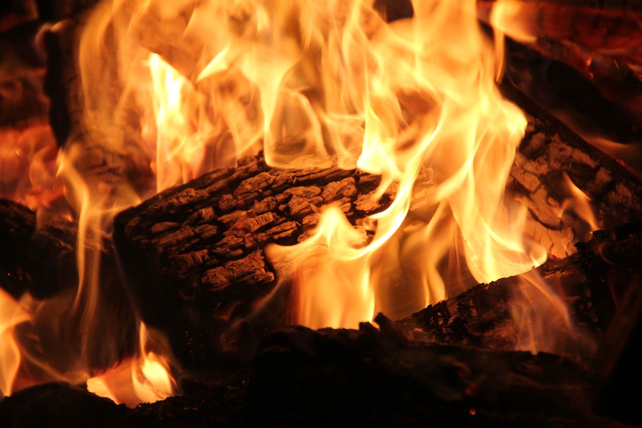 Professional Fireplace Cleaning Services In Leonard Michigan